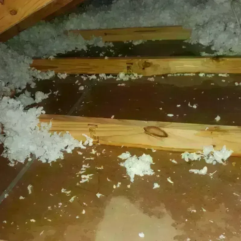 Attic Water Damage in Poquoson, VA