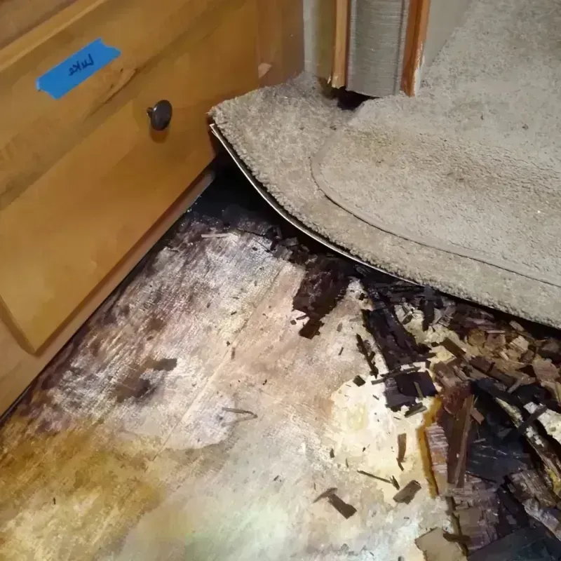 Best Wood Floor Water Damage Service in Poquoson, VA